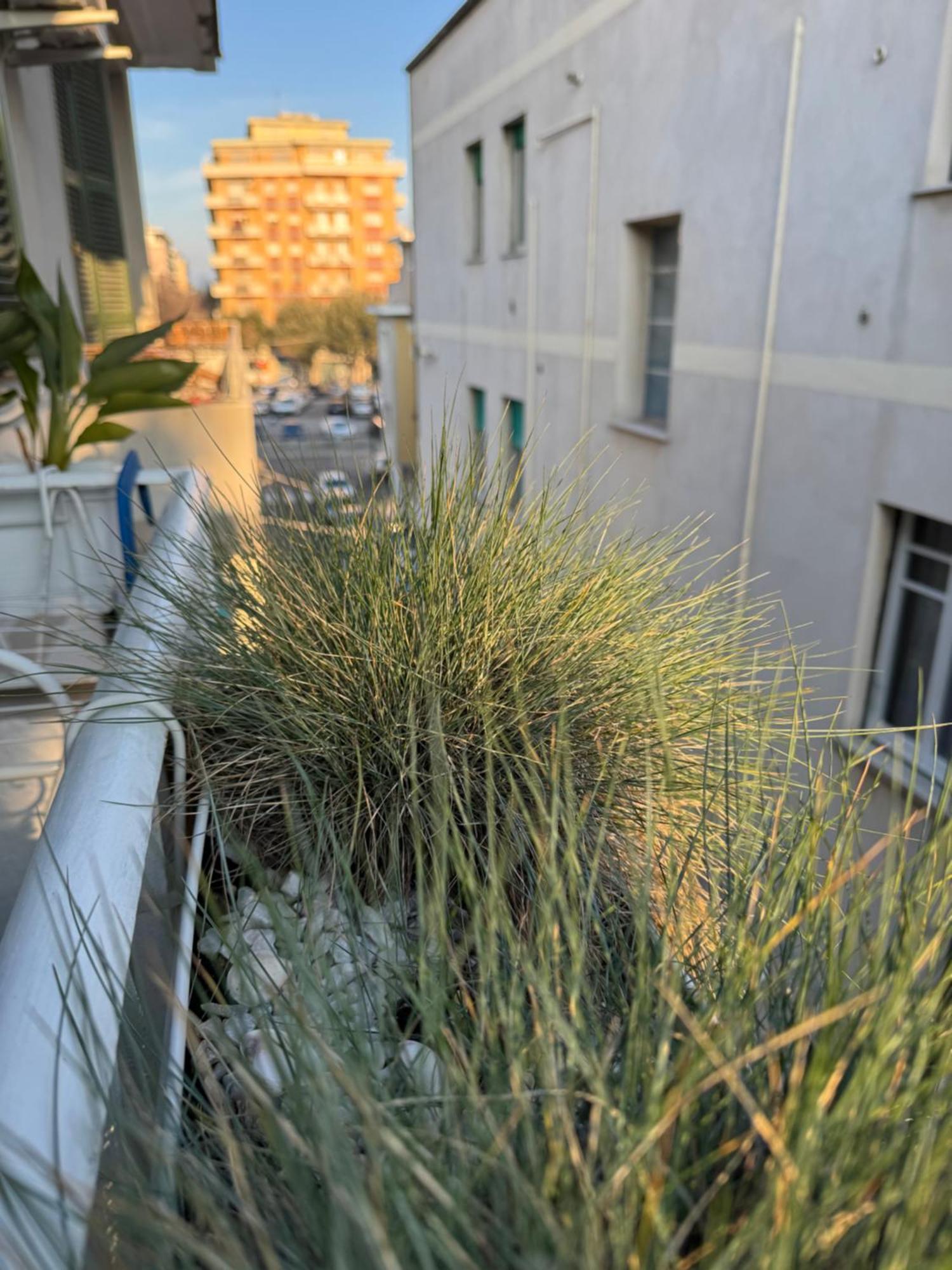 Okra Apartment Pescara Centro ภายนอก รูปภาพ